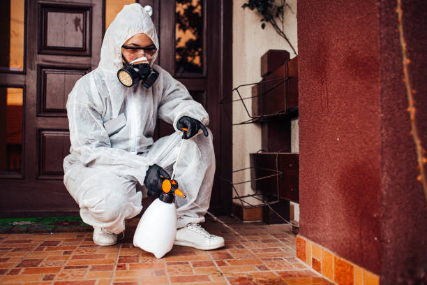 Attic and Crawl Space Rodent Treatment in West Brattleboro